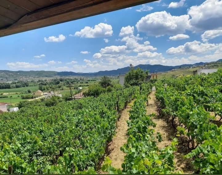 Guest house Shehi And Winery *