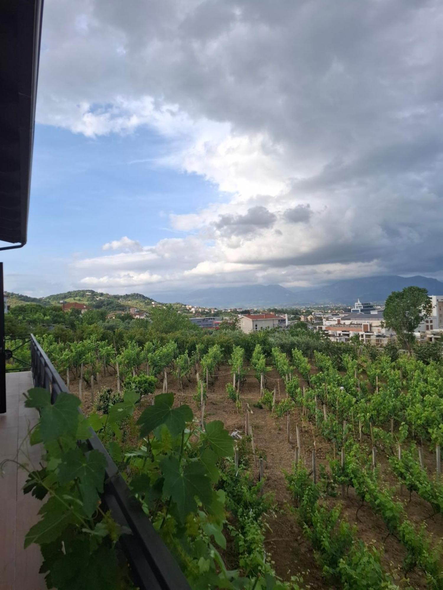 Shehi And Winery